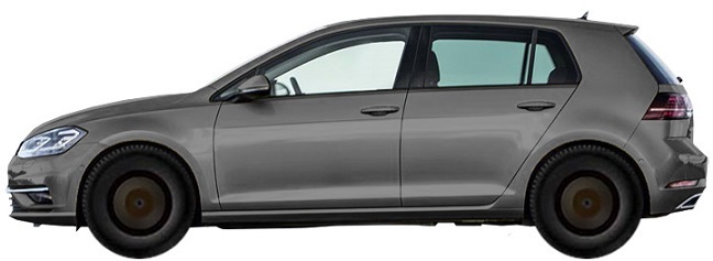 Volkswagen Golf VII AU Hatchback 5d (2018-2019) 1.4 TSI (125 hp)